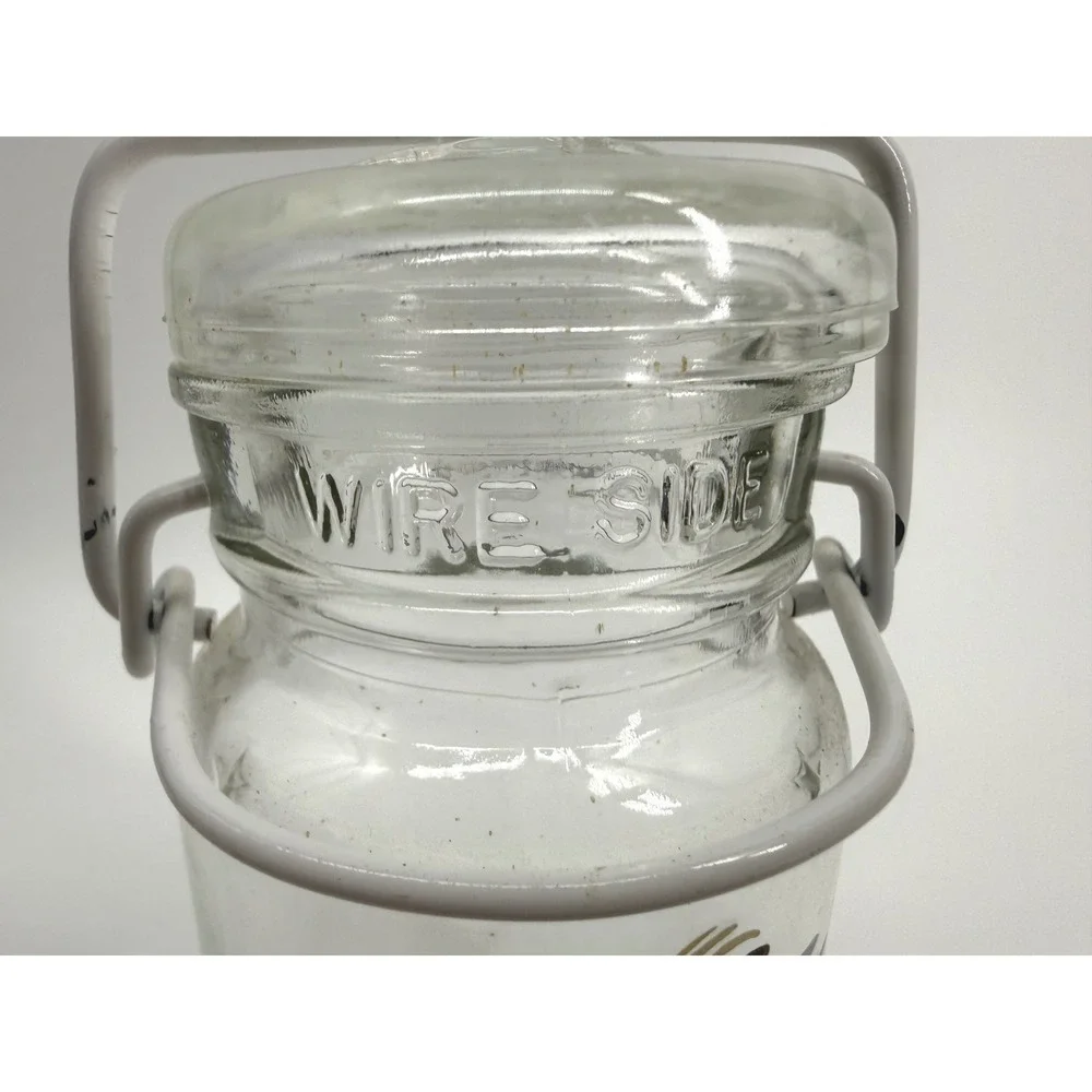 Desert Springs Hummingbird Glass Jar 6.5in Clear Wire Bale Lid Country Decor‎